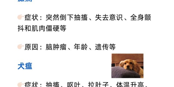 魔兽世界私服宠物抽搐问题解析及解决方案