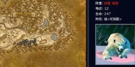 魔兽世界私服中宠物抽搐问题的全面解析