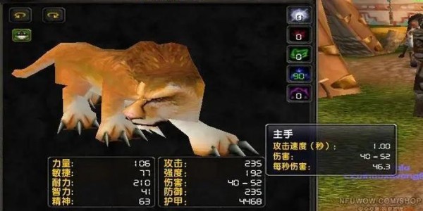 巫妖王之怒，猎人宠物选择指南