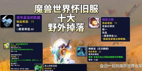 魔兽世界怀旧服，探索龙虾平台，开启交易新篇章