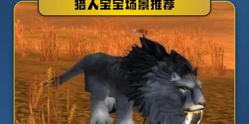 怀旧服60级猎人宠物选择指南