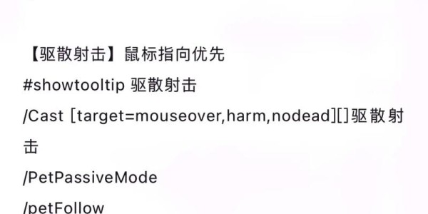 魔兽世界怀旧服猎人宏命令详解指南