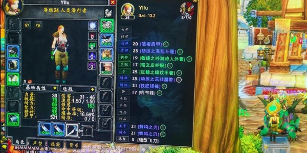 魔兽世界私人服务器，探索其魅力与潜在风险