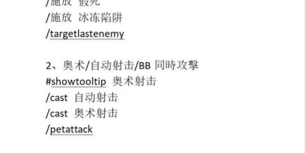 魔兽世界怀旧服猎人宏命令详解指南