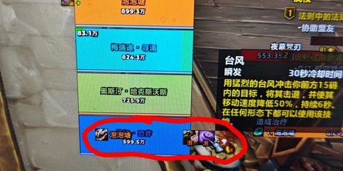 露露，魔兽世界私服玩家的必备辅助插件