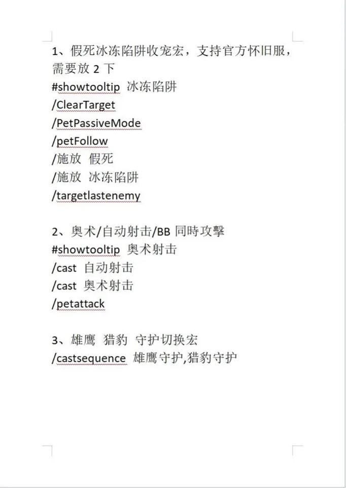 猎人宏命令速成指南