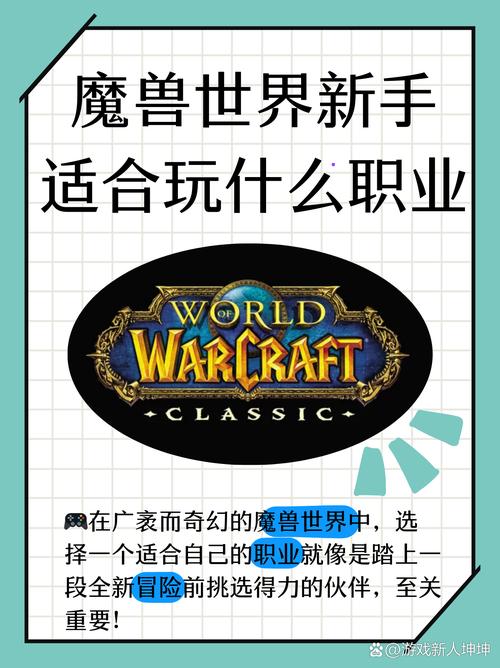 魔兽世界职业探秘,最佳选择与玩法指南