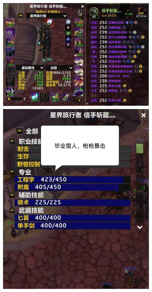猎人与术士,魔兽世界中的远程魔法对决