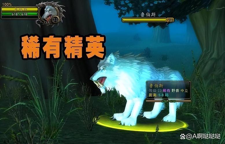 60级猎人稀有宠物大全
