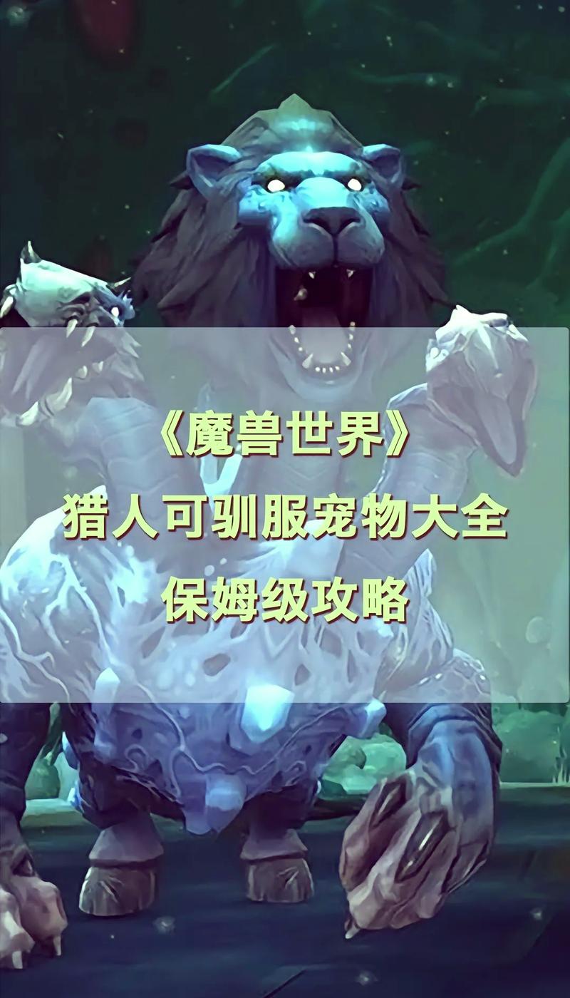 tbc60级猎人必抓宝宝推荐
