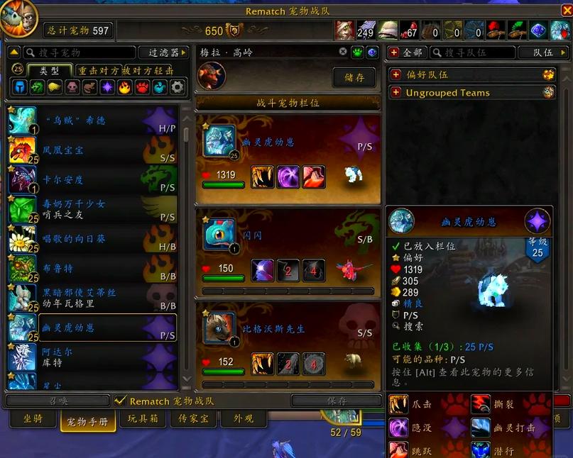 魔兽世界私服宠物抽搐问题解决指南