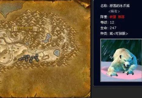 魔兽世界私服宠物抽搐问题解决指南