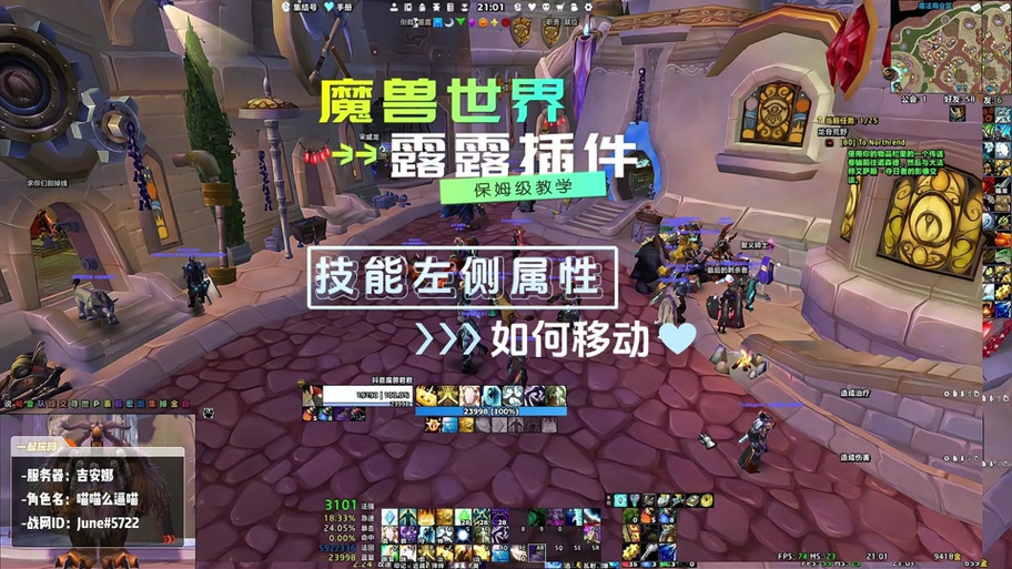 探索魔兽世界私服插件露露的无限可能
